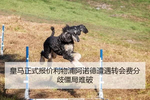 皇马正式报价利物浦阿诺德遭遇转会费分歧僵局难破